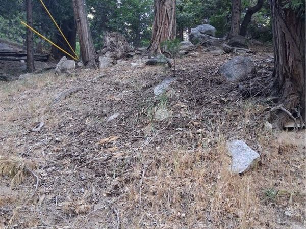 6 Finhaut Drive, Crestline, CA 92325