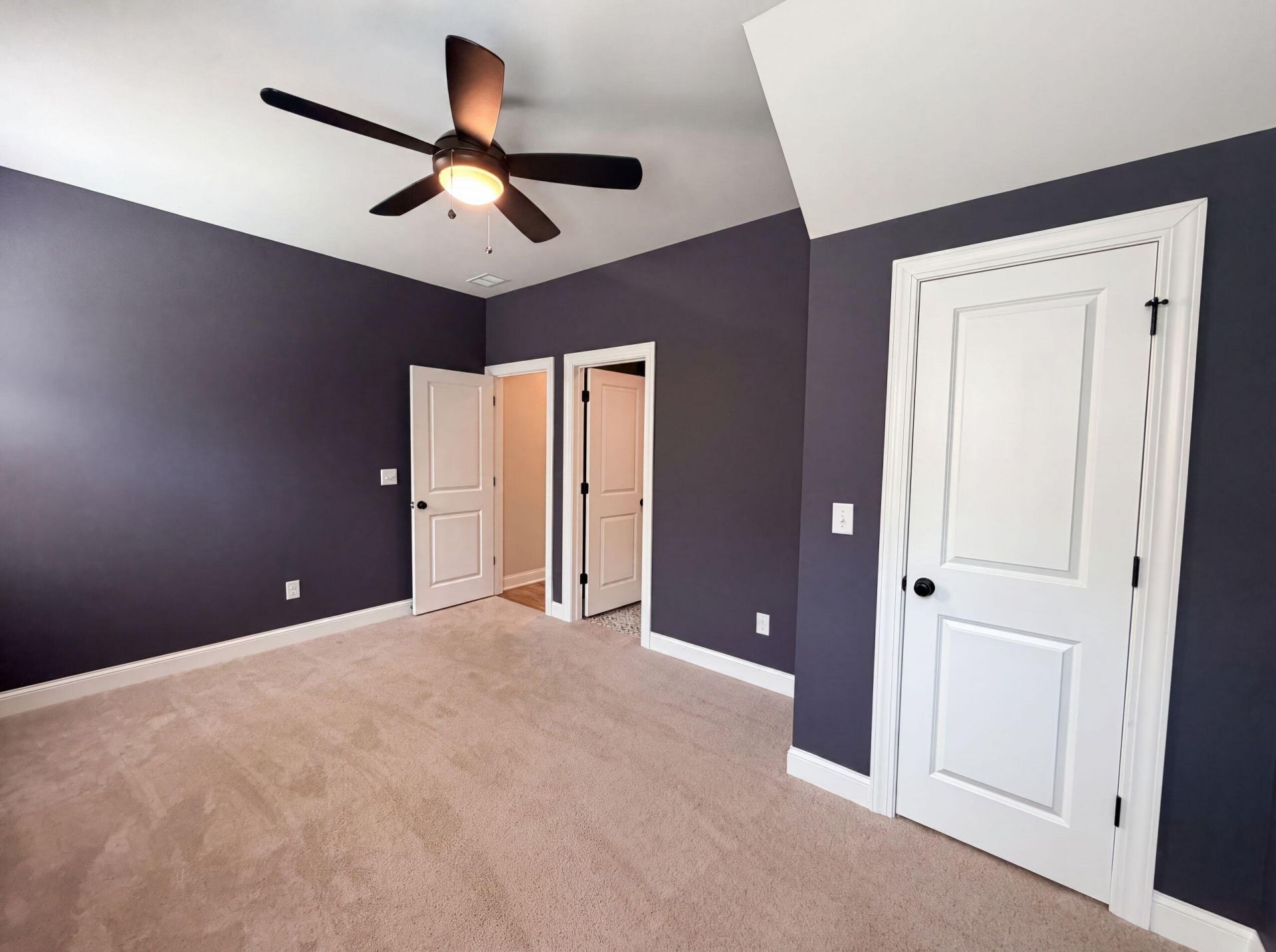 203 Plowden Mill Court Photo 12