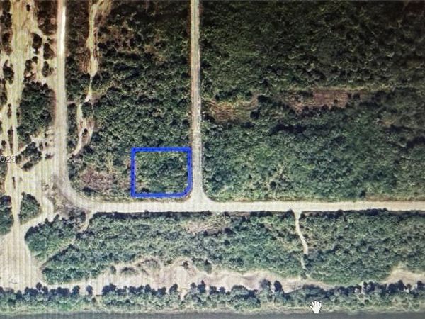 Merganser St SW & Slimtwig Ave , Palm Bay, FL 32908