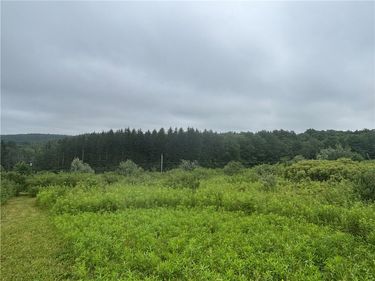 Lot 1 County Route 46 , Dansville, NY 14437
