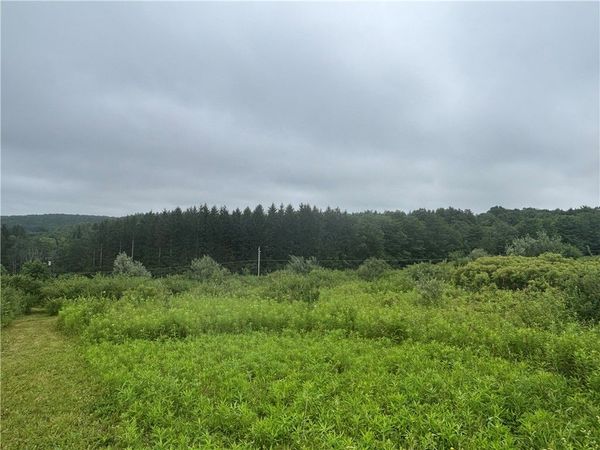 Lot 1 County Route 46 , Dansville, NY 14437