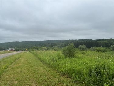 VL Lot 2 County Route 46 , Dansville, NY 14437