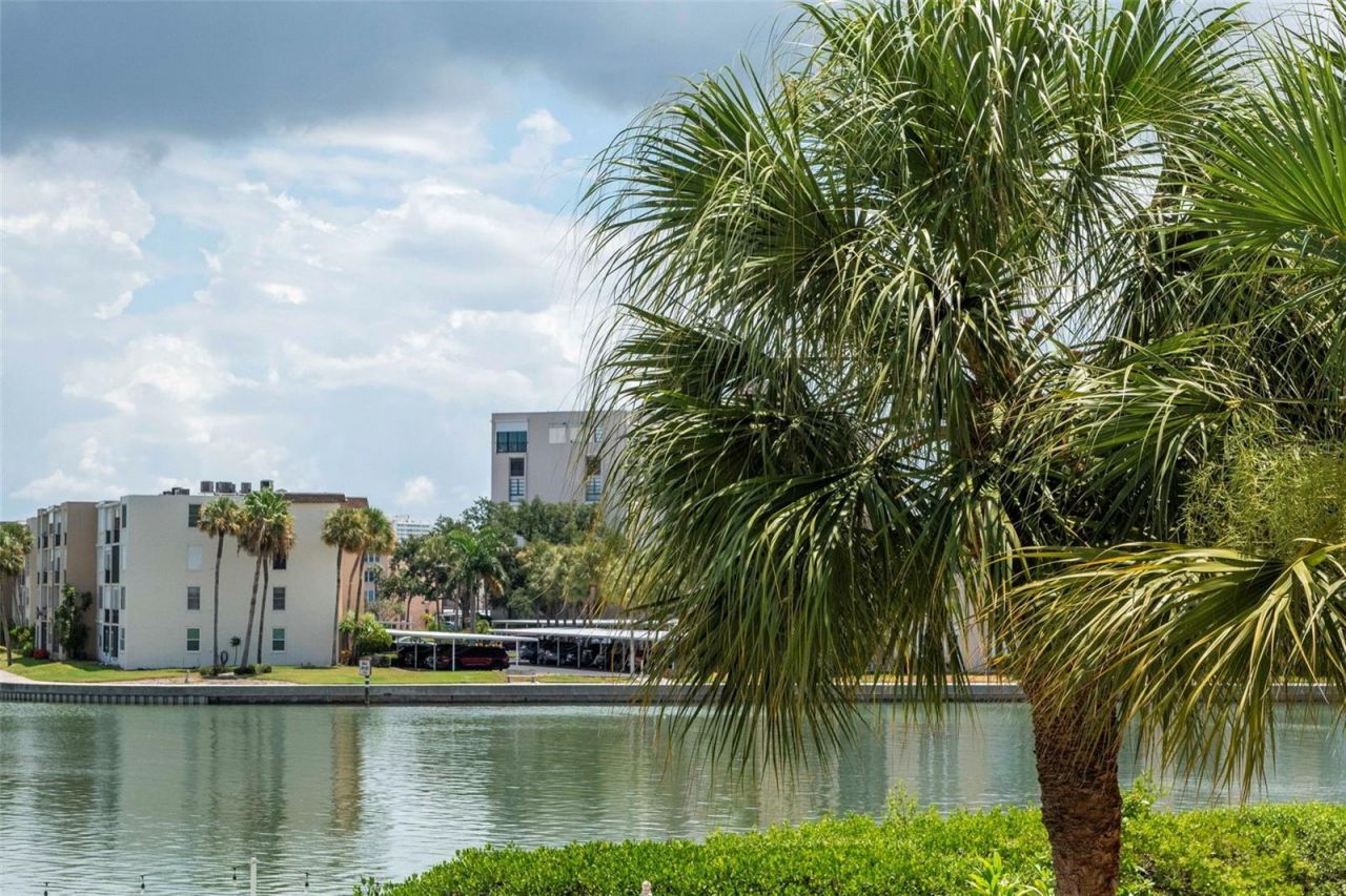 7979 Sailboat Key Boulevard S, Unit 101, South Pasadena, FL 33707 Photo