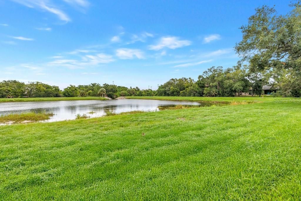 731 Oberlin Drive , Clearwater, FL 33765 Photo