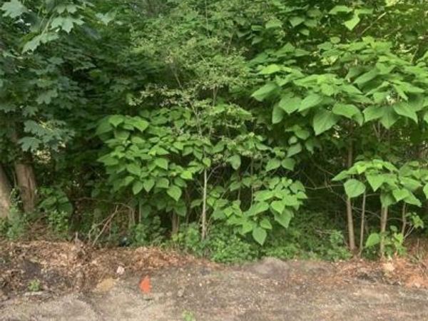 Roosevelt Boulevard , Hauppauge, NY 11788