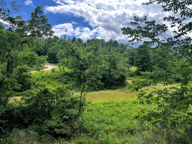 0 Barr Hollow Road , Reedsville, OH 45772 Photo 10