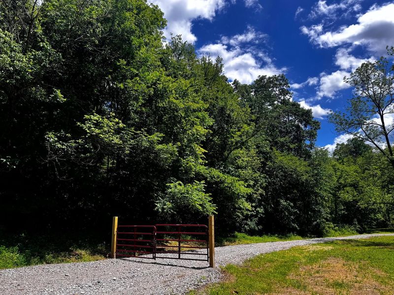 0 Barr Hollow Road , Reedsville, OH 45772 Photo 2