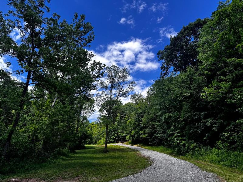 0 Barr Hollow Road , Reedsville, OH 45772 Photo 3