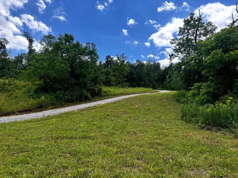 0 Barr Hollow Road , Reedsville, OH 45772 Photo 4