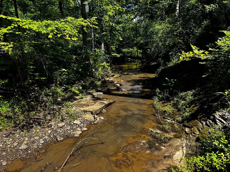 0 Barr Hollow Road , Reedsville, OH 45772 Photo 8