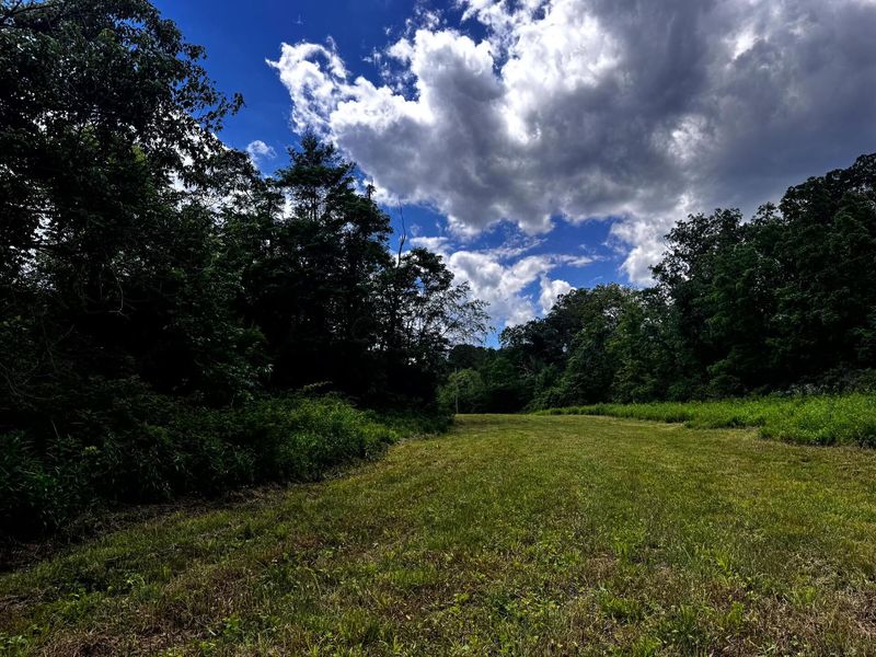0 Barr Hollow Road , Reedsville, OH 45772 Photo 9