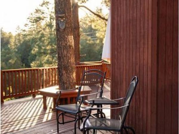 9651 W WILD TURKEY Lane, Pine, AZ 85544