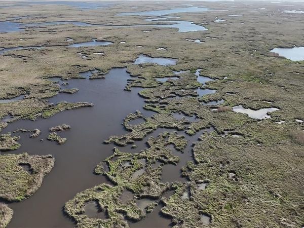 0 BAYOU LA LOUTRE, St Bernard, LA 70085