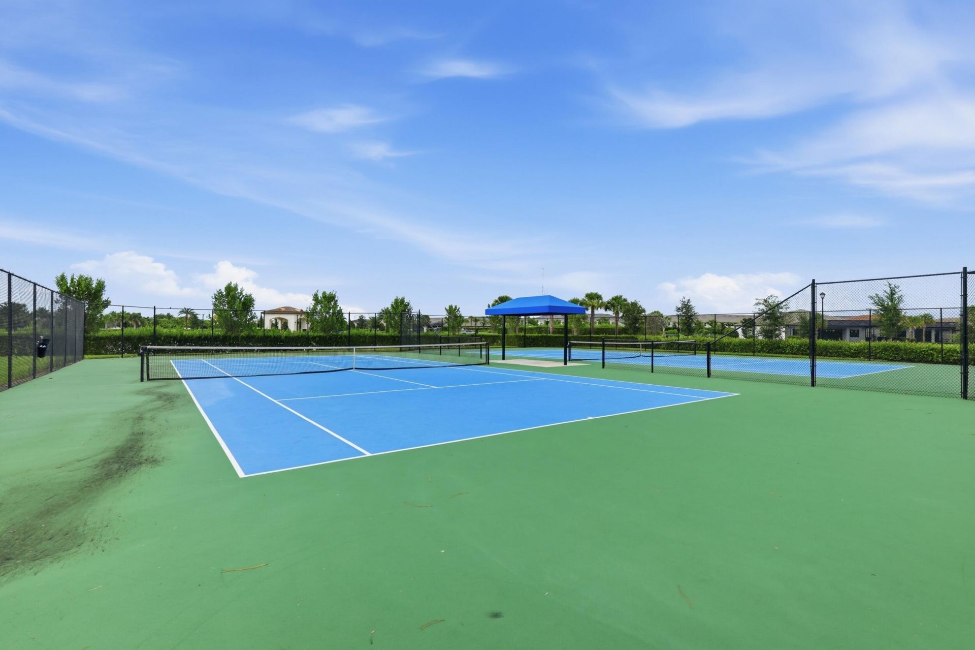 1517 Birdie Drive, Naples, FL 34120 Photo