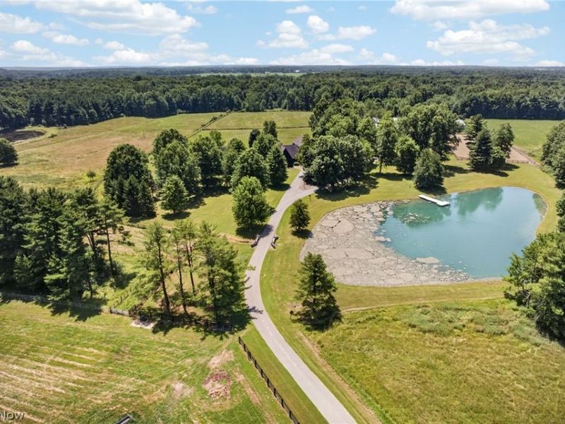 12881 Akron Canfield Road, North Jackson, OH 44451 Photo 5