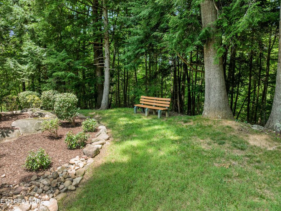 Property Image 54