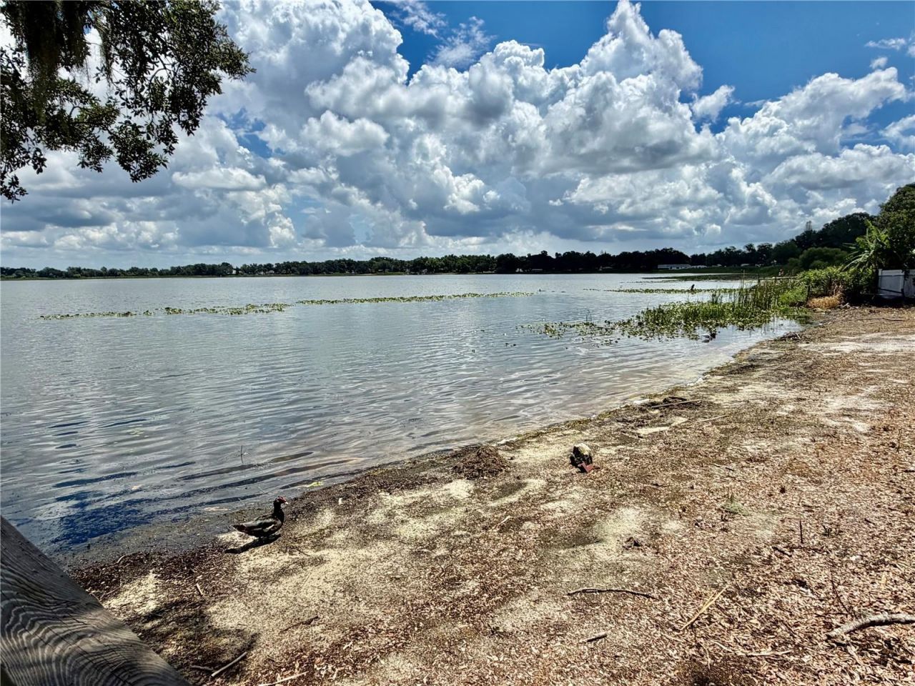 1702 1/2 Us Highway 92 W, Auburndale, FL 33823 Photo