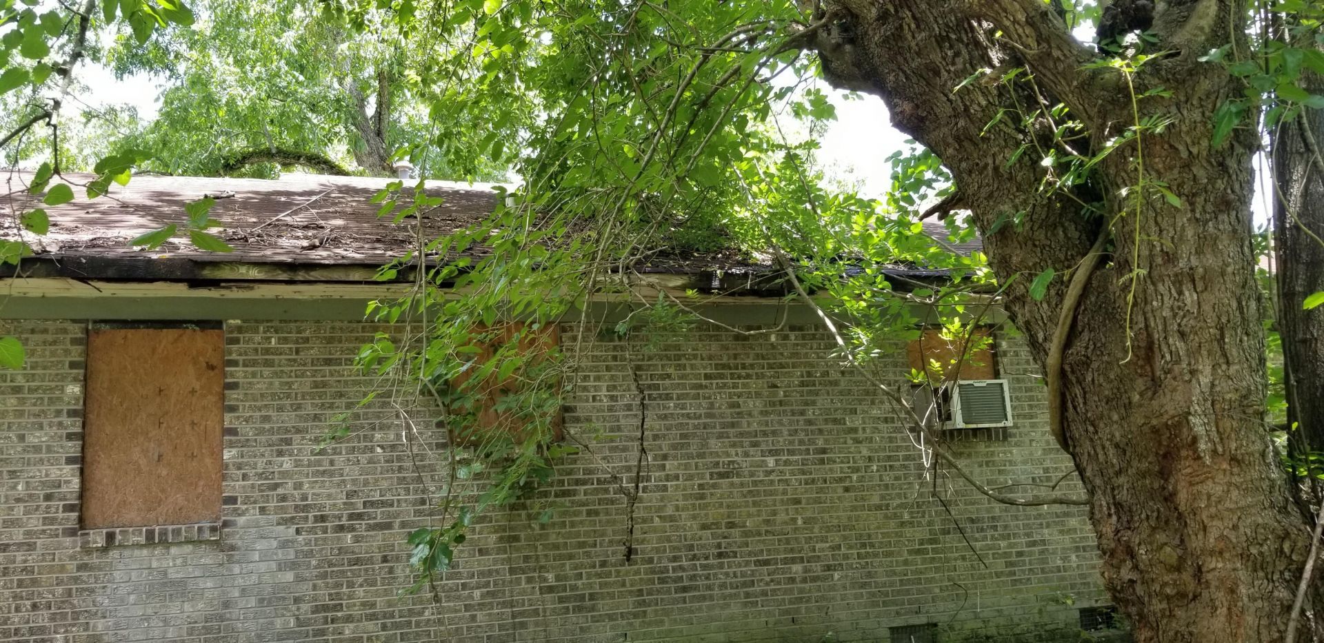 102 Harper Street Photo 5