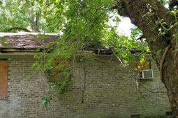 102 Harper Street photo 4
