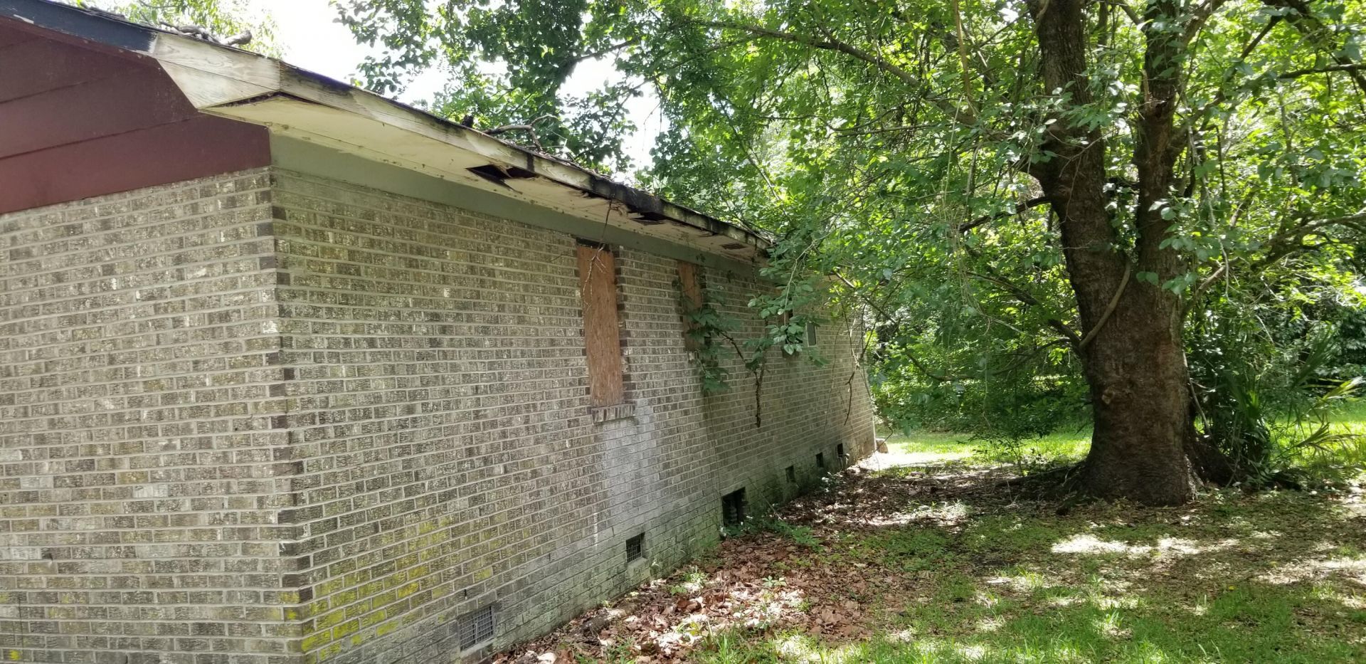 102 Harper Street Photo 6