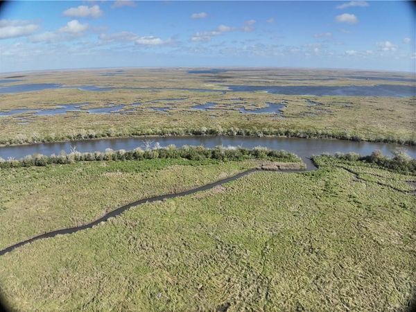 0 BAYOU LA LOUTRE, St Bernard, LA 70085
