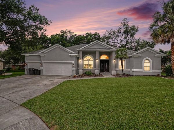 702 BROOKER RIDGE COURT, BRANDON, FL 33511