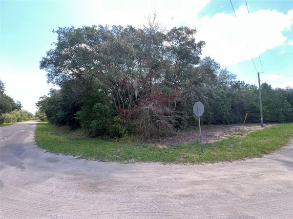 LOT 36 BLK1140 FISHER WAY TRAIL , OCKLAWAHA, FL 32179
