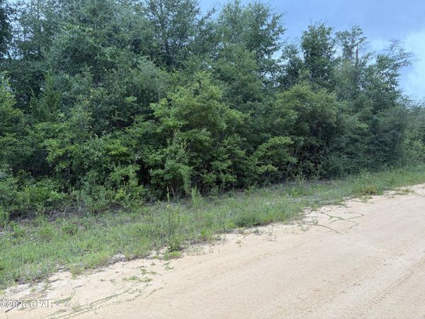 0 Kokomo Avenue , Alford, FL 32420