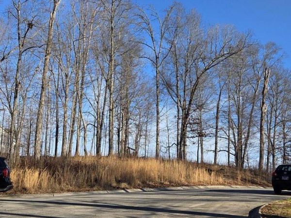 Lot 3 Sugar Maple Court, Madisonville, TN 37354