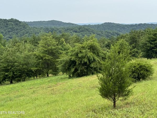 Melea Lane, Kingston, TN 37763