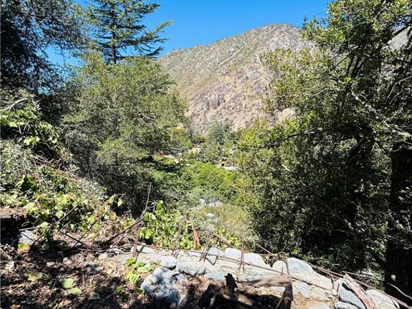 955 San Antonio Creek, Mt Baldy, CA 91759