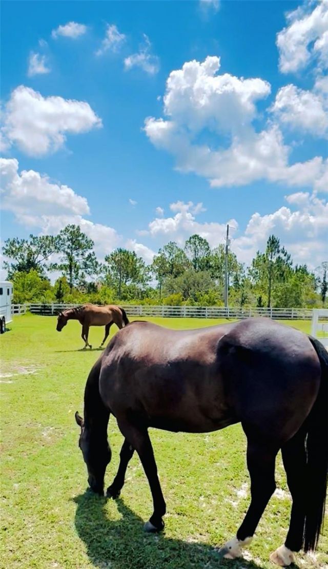 20207 77th Avenue E, Bradenton, FL 34202 Photo