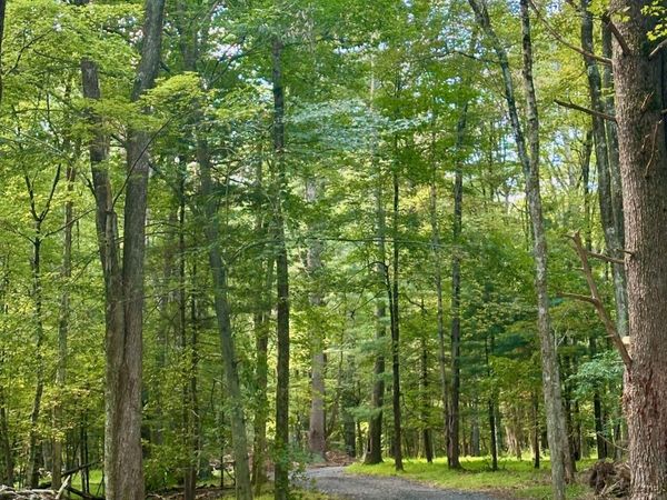 766 County Route 6 , High Falls, NY 12440