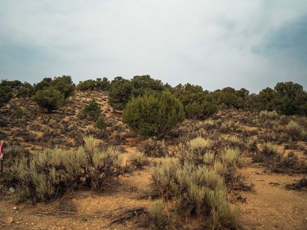 12476 EDYTHE MARETT DR , Unit 26&27, Duchesne, UT 84021