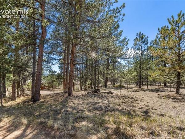 349 Rhyolite Lane, Florissant, CO 80816