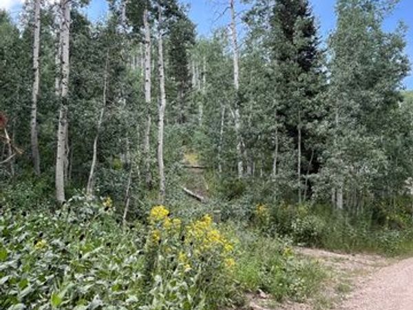 2102 S UINTAH VIEW DR , Unit 61, Coalville, UT 84017