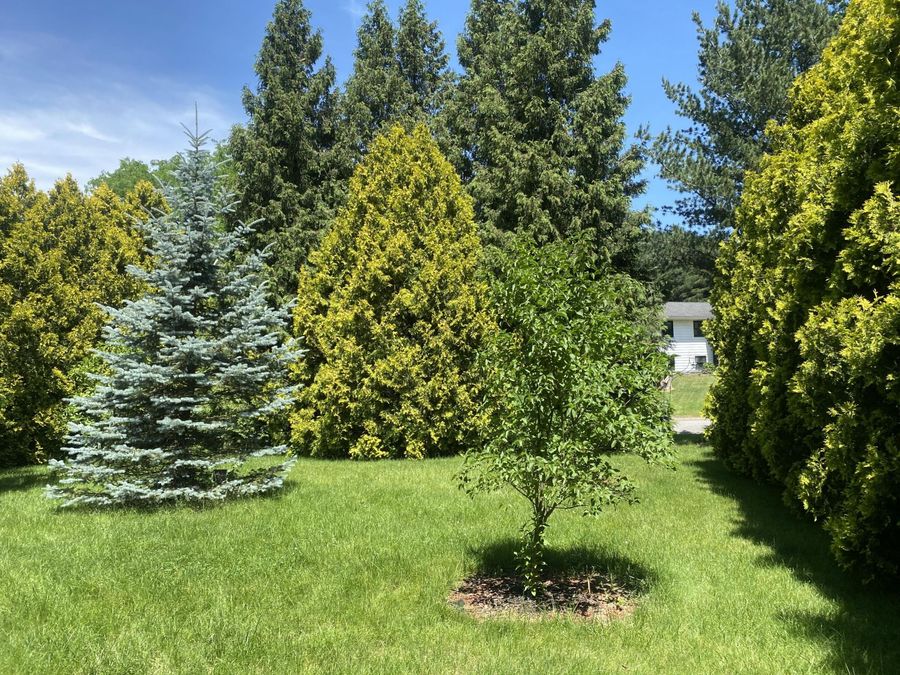 Property Image 9