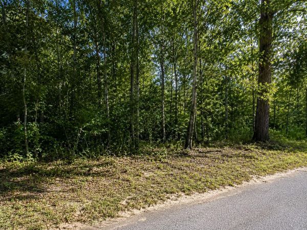 Hunter Street, Milton, FL 00000