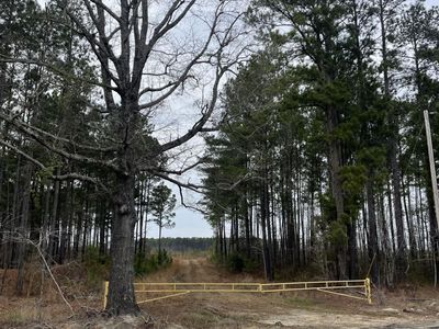 Tbd Rocky Ford Road, Salters, SC 29590