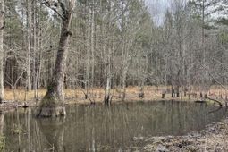 Tbd Rocky Ford Road photo 4