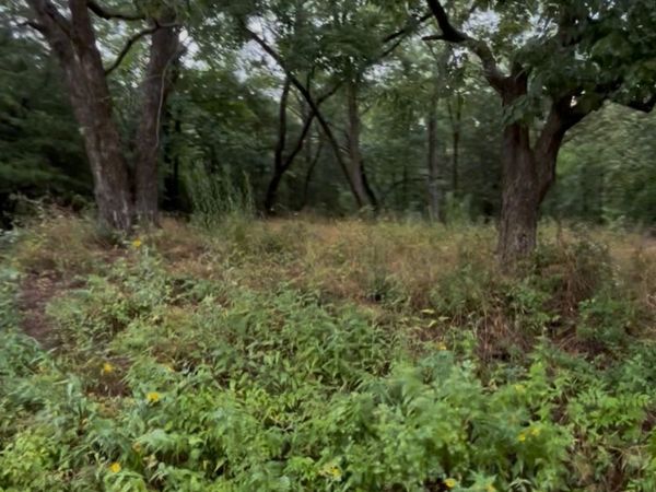 1 N Shoreline Drive , Hulbert, OK 74441