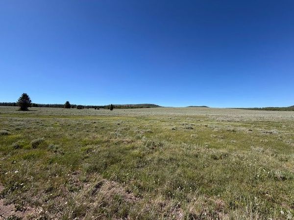 2479 E MEADOW LAKE DR , Unit 8, Brian Head, UT 84719