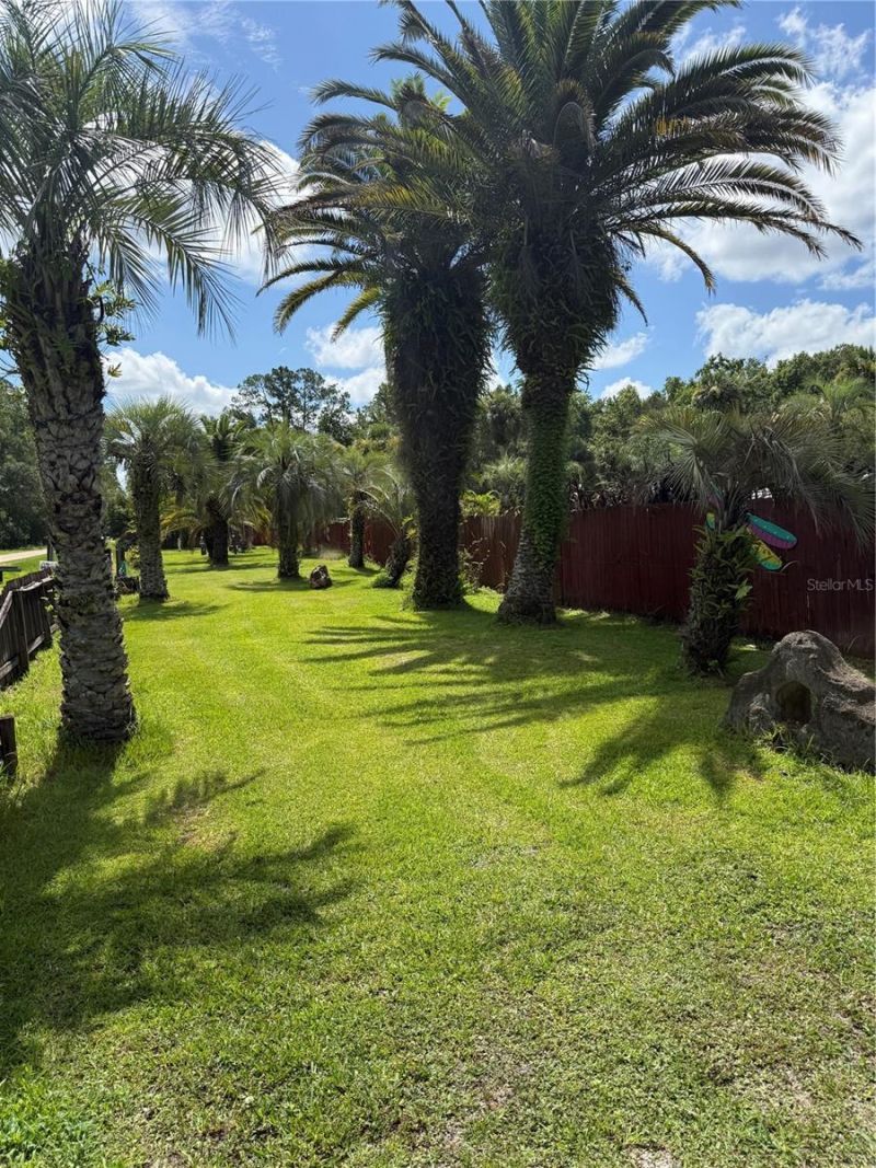 Please Call For Address, Bunnell, FL 32110 Photo
