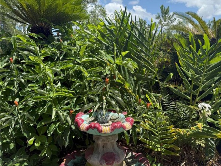 Property Image 67
