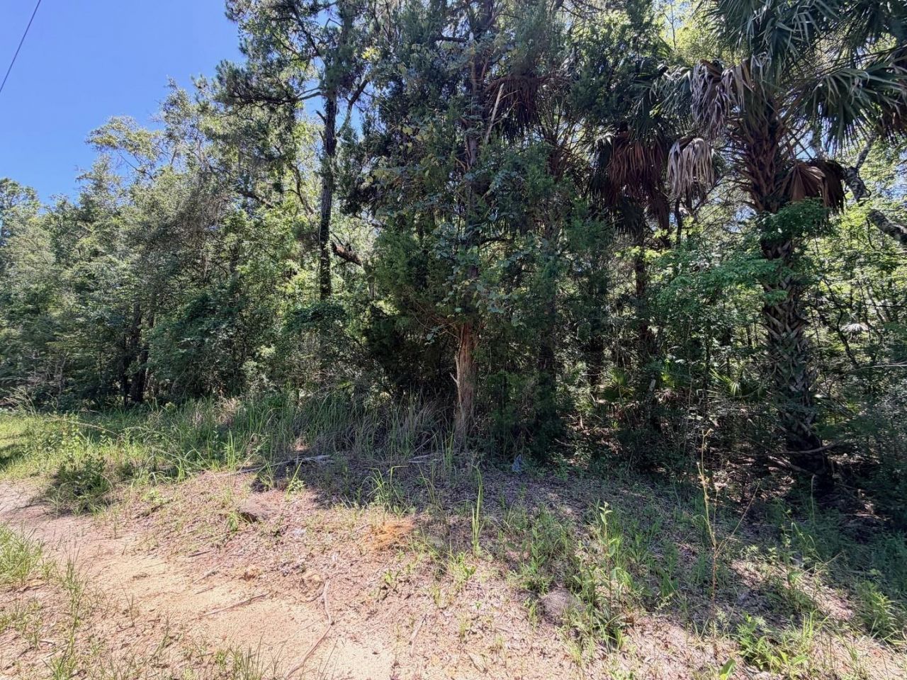 0 SE Hwy 19 , Inglis, FL 34449 Photo