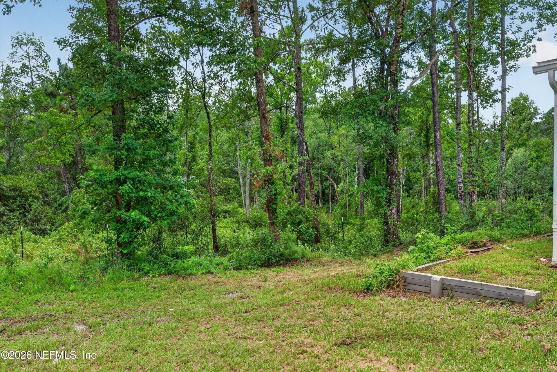 4890 Mcallister Road, Middleburg, FL 32068 Photo