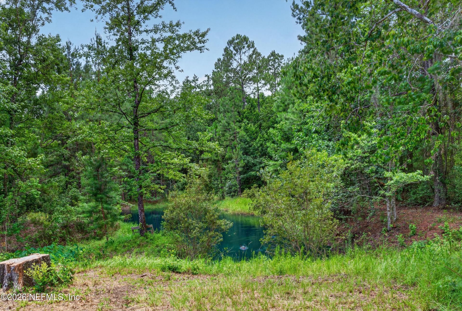 4890 Mcallister Road, Middleburg, FL 32068 Photo