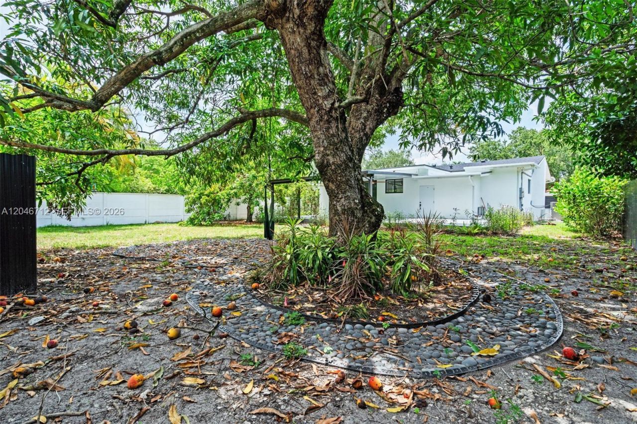 56 Whitethorn Dr, Miami Springs, FL 33166 Photo