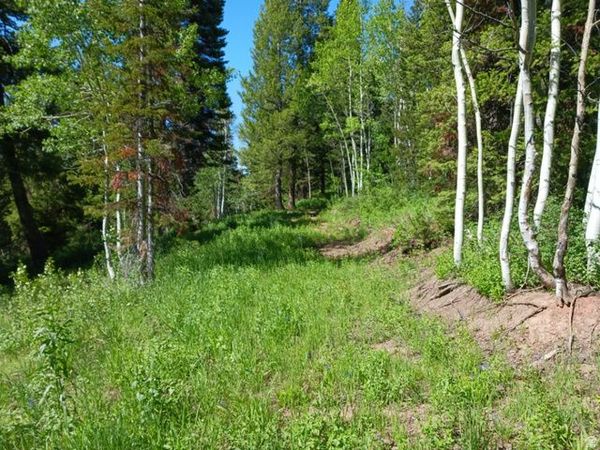 BAXTER SAWMILL RD E, Hyrum, UT 84319