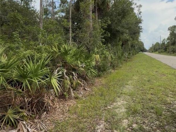 2114 Wellington AVE, ALVA, FL 33920